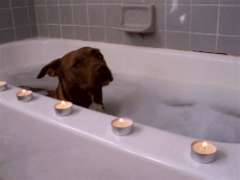 Bath Gifs